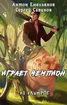Играет чемпион 1
