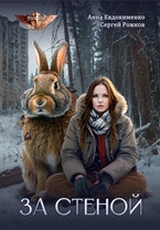 За Стеной