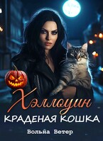 Хэллоуин. Краденая кошка