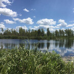 Тестовая книга 23