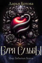 Буря Судьбы