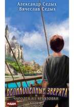 Великолепные зверята и чародей из Арбузовки. Книга 2. Чародей из Арбузовки