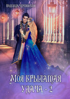 Моя крылатая удача. Книга 2