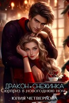 Дракон и Снежинка. Сюрприз в новогоднюю ночь