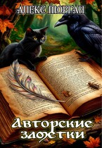 Авторские заметки