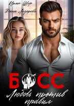 Босс. Любовь против правил