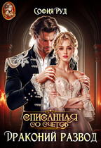 Драконий развод, или Списанная со счетов