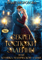 Секрет госпожи Эллейны, или хозяйка магической лавки