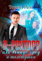 Я – ректор? или Инкуб, дроу и толстушка