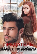 Предатель. Двойня от бывшего