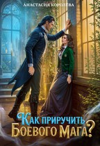 Как приручить боевого мага?