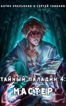 Тайный паладин 4: Мастер