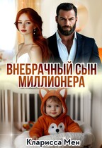 Внебрачный сын Миллионера