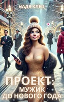 Проект: мужик до Нового года
