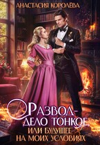 Развод — дело тонкое, или Будущее на моих условиях