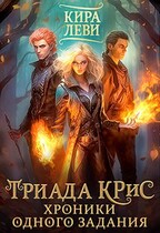 Триада КРиС. Хроники одного задания