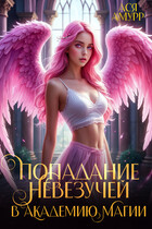 Попадание невезучей в академию магии