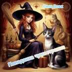 Попаданка чужестранка