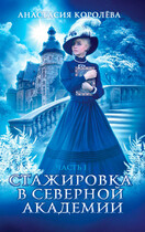 Стажировка в Северной Академии