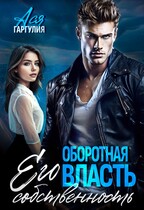 Оборотная власть. Его собственность