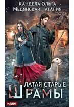 Латая старые шрамы. Книга 1
