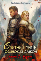 Опытный маг и одинокий дракон — 1. Разлом