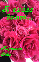 Я ехала домой…