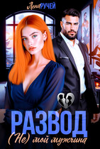 Развод. (Не) мой мужчина