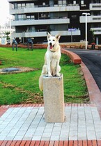 Каптары