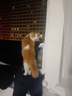 Измена. Я ( не ) прощу