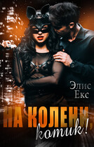 На колени, Котик!