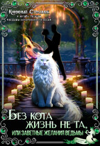 Без кота жизнь не та, или Заветные желания ведьмы