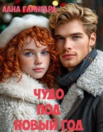 Чудо под Новый год