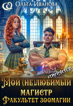 Мой (не)любимый магистр