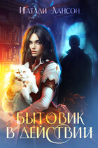 Бытовик в действии