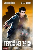 Герой из тени. Книга 1