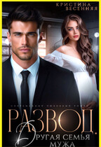 Развод. Другая семья муж