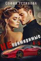 Непримиримые 4-5