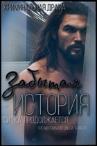 Забытая история