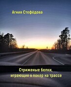 Стриженые белки, играющие в покер на трассе.