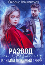 Развод на Новый год, или Мой любимый гений