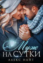 Муж на сутки. Сборник рассказов