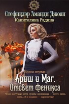 Ариш и Маг. Отсвет феникса (книга первая)