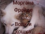 Волк и кошка
