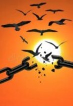 Воронья слава: наследники