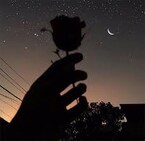 Силы наяву и сны