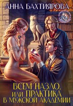 Всем назло, или Практика в мужской академии