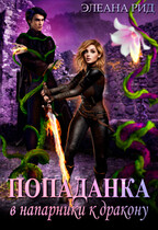 Попаданка в напарники к дракону
