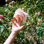 Откровение Мари