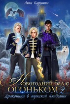 Новогодний бал с огоньком 2   Драконица в мужской Академии